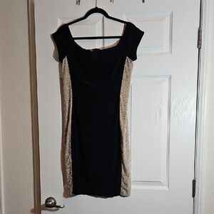 Xscape Black Dress with Gold Side Panels